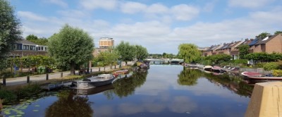 Wijkschouw 2018